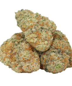94 Affe kaufen – Indica-dominanter Hybrid aus 94 Octane × Grease Monkey