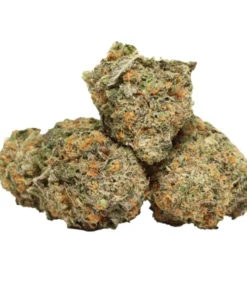 94 Octane OG kaufen – Indica-Hybrid mit bis zu 30 % THC