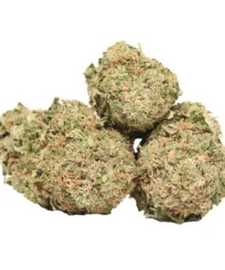 Afghani Death Bubba kaufen – Indica-Hybrid mit bis zu 30 % THC