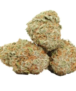 AK-47 Cannabis kaufen – Preisgekrönter Sativa Hybrid mit bis zu 23 % THC