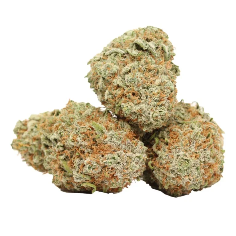 AK-47 Cannabis kaufen – Preisgekrönter Sativa Hybrid mit bis zu 23 % THC