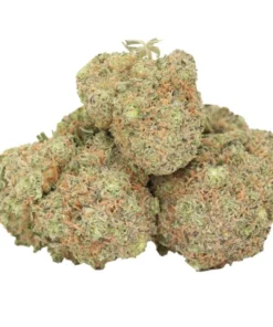 Atomic Blueberry kaufen – Indica-Hybrid mit 27 % THC & intensivem Beerenaroma