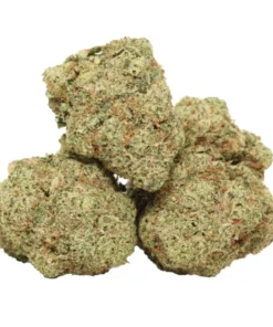 Atombombe kaufen – Atomic Bomb Hybrid mit 24 % THC