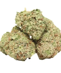 BC Gas kaufen – Kraftvoller Indica-Hybrid mit OG-Kush-Charakter