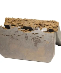 BC King Hash kaufen | Premium Hasch aus British Columbia – Bulk Buddy