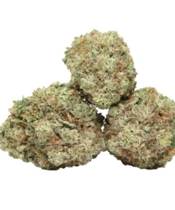 Black Diamond kaufen – Violetter Indica-Hybrid mit starker Abendwirkung