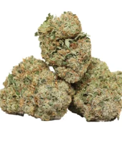 Black Tuna kaufen – Starker Indica-Hybrid mit tiefer Sedierung & legendärer Herkunft