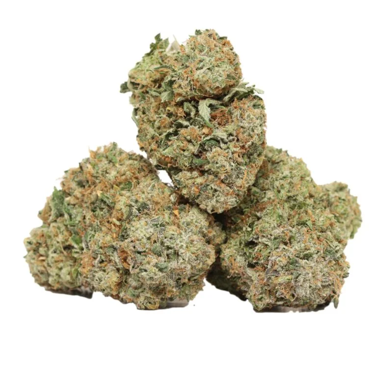 Black Tuna kaufen – Starker Indica-Hybrid mit tiefer Sedierung & legendärer Herkunft