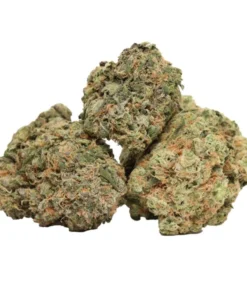 Casey Jones – Sativa-dominante Cannabis Sorte für Energie, Fokus & Kreativität Aktivierender Hybrid für produktive Tage Casey Jones ist eine bekannte sativa-dominante Cannabis-Sorte, die nach dem legendären amerikanischen Lokführer benannt wurde — und genauso kraftvoll wirkt wie ihr Namensgeber. Dieser beliebte Hybrid liefert einen schnellen mentalen Energieschub, kombiniert mit einer sanften körperlichen Entspannung, wodurch er ideal für den Tagesgebrauch geeignet ist. Gezüchtet aus Oriental Express (Trainwreck × Thai) und East Coast Sour Diesel, vereint Casey Jones starke Sativa-Eigenschaften mit einem angenehm ausgewogenen Körpergefühl. Das Ergebnis ist ein klarer, motivierender Effekt ohne starke Sedierung.
