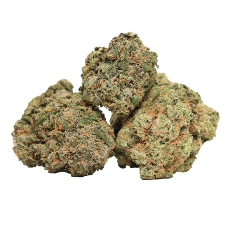 Casey Jones – Sativa-dominante Cannabis Sorte für Energie, Fokus & Kreativität Aktivierender Hybrid für produktive Tage Casey Jones ist eine bekannte sativa-dominante Cannabis-Sorte, die nach dem legendären amerikanischen Lokführer benannt wurde — und genauso kraftvoll wirkt wie ihr Namensgeber. Dieser beliebte Hybrid liefert einen schnellen mentalen Energieschub, kombiniert mit einer sanften körperlichen Entspannung, wodurch er ideal für den Tagesgebrauch geeignet ist. Gezüchtet aus Oriental Express (Trainwreck × Thai) und East Coast Sour Diesel, vereint Casey Jones starke Sativa-Eigenschaften mit einem angenehm ausgewogenen Körpergefühl. Das Ergebnis ist ein klarer, motivierender Effekt ohne starke Sedierung.