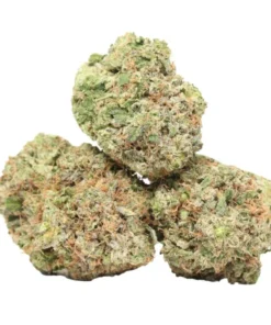 Caviar Pink Kush kaufen – Reine Indica mit OG-Kush-Genetik & bis zu 28 % THC