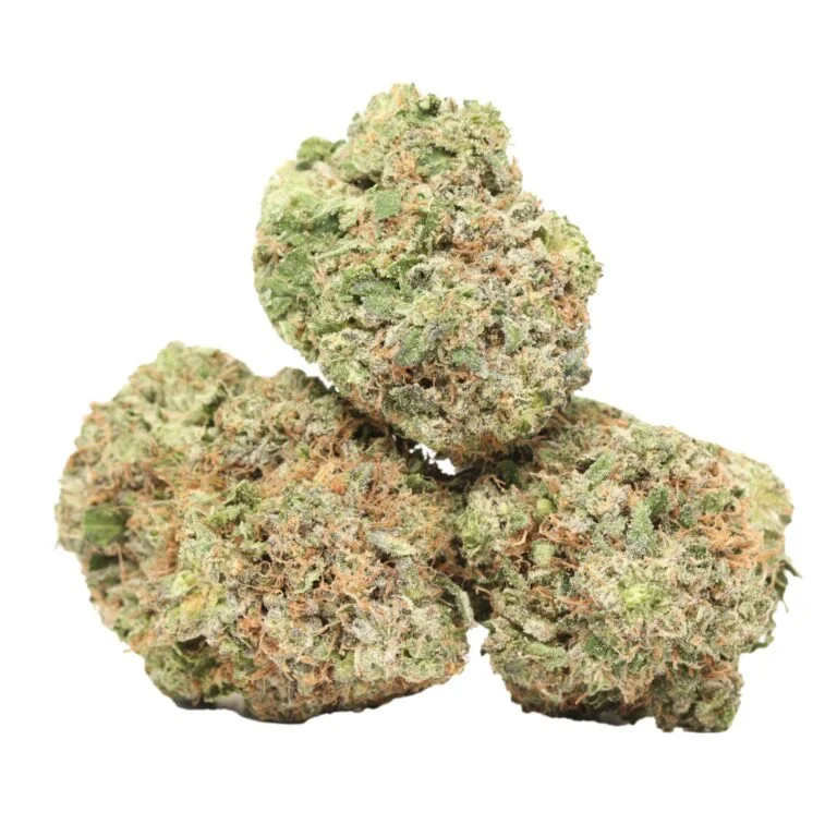 Caviar Pink Kush kaufen – Reine Indica mit OG-Kush-Genetik & bis zu 28 % THC