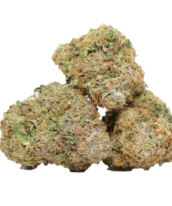 Diablo OG Kush kaufen – Sativa-dominanter Hybrid mit klarem Kopf & OG-Diesel-Aroma