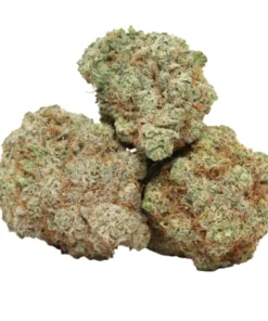 Do Si Dos kaufen – Kreativ entspannender Indica-Hybrid mit süß-würzigem Aroma