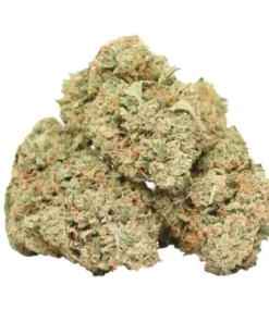 El Jefe kaufen – 80/20 Indica-Hybrid mit Zitronen-Kiefer-Aroma und starker Wirkung