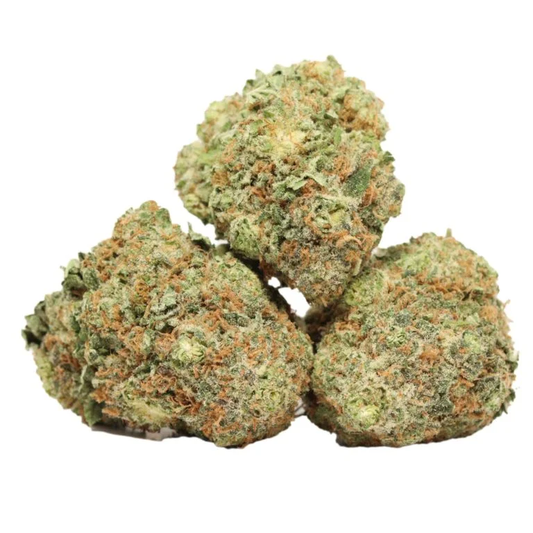 Guava Kush kaufen – Tropischer Hybrid mit über 21 % THC | Premium Craft Cannabis