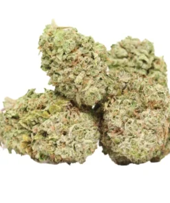 King Louis XIII – Kraftvoller Indica-Hybrid mit klassischer OG-Kush-Genetik