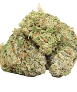 London Truffle kaufen – 70 % Indica Hybrid mit White Truffle Genetik