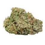 Nordlicht kaufen – Northern Lights Indica-Klassiker mit 18–23 % THC