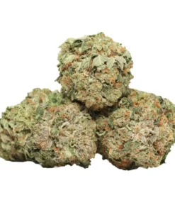 Master Kush kaufen – Original Amsterdam Indica mit 22–25 % THC