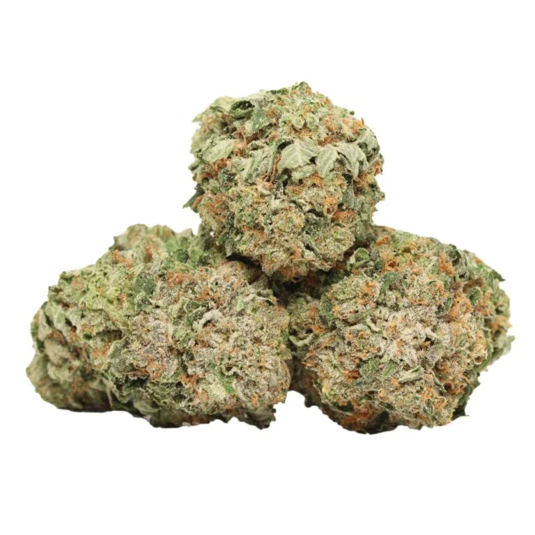 Master Kush kaufen – Original Amsterdam Indica mit 22–25 % THC