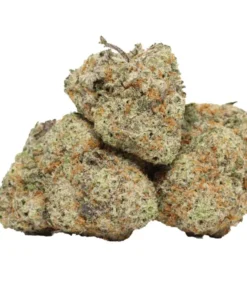 Maui Wowie kaufen – Tropischer Sativa-Klassiker mit energiegeladenem High