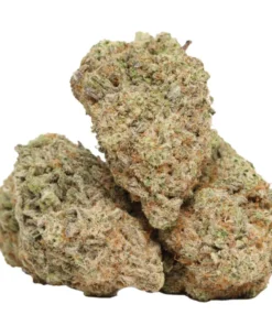 Peachy Mack kaufen – Fruchtiger Sativa-Hybrid mit energiegeladenem High