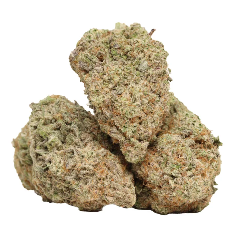 Peachy Mack kaufen – Fruchtiger Sativa-Hybrid mit energiegeladenem High