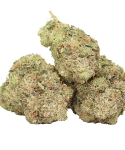 Rosa Tod kaufen – Starker Indica-Hybrid für Schlaf & Tiefenentspannung