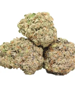 Rosa Muerte kaufen – Starker Indica-Hybrid (24–26 % THC) aus Pink Death x Muerte. Ideal bei Schmerzen, Stress & Schlafproblemen. Jetzt Pink Muerte entdecken.