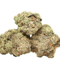 Platinum Death Bubba AAAA+ kaufen – Starke Indica Craft Hybridsorte