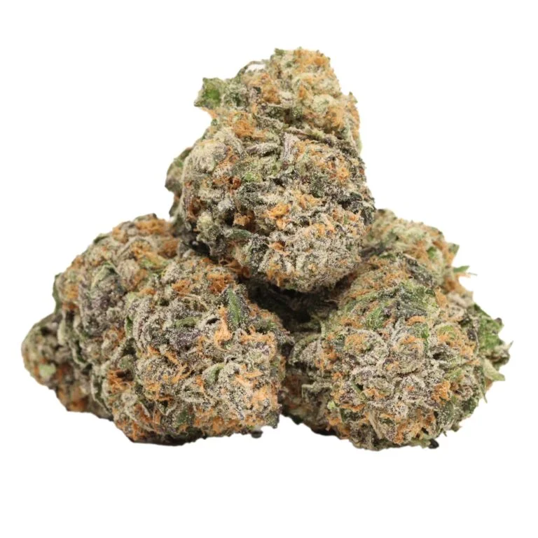 Lila Banner (Purple Banner) – Violetter Indica-Hybrid mit ausgewogener Wirkung