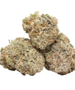 Purple Dank Breath (AAAA+) kaufen – Premium Indica Craft mit 31 % THC