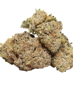 Rainy Lady kaufen – Ausgewogener Hybrid mit 25–31 % THC