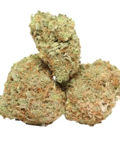 Romulan kaufen – Starker Indica-dominanter Klassiker mit 24 % THC