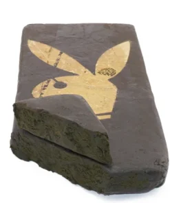 Playboy Hash kaufen | Premium Haschisch Kanada – Bulk Buddy