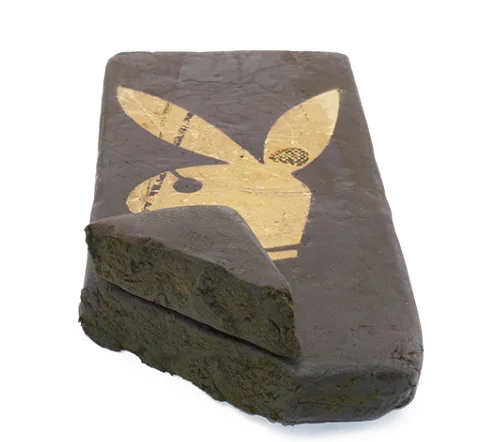 Playboy Hash kaufen | Premium Haschisch Kanada – Bulk Buddy