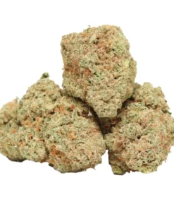 Sherbet Cake kaufen – Fruchtiger Indica-Hybrid mit kreativer Wirkung & süßem Aroma