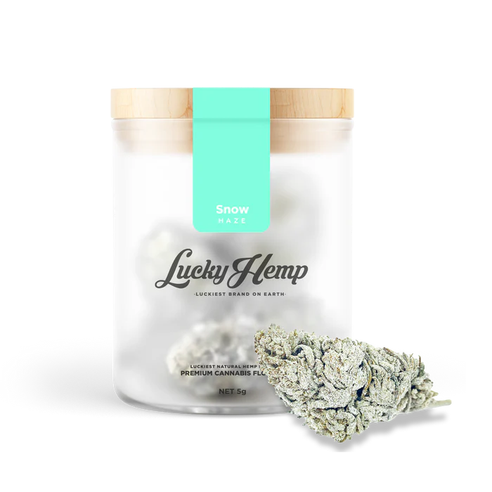 Snow Haze® 50 % CBD im 3g‑Glas – Maximale CBD‑Power mit kristallklarer Qualität Snow Haze® 50 % CBD im 3g‑Glas steht für besonders hohe CBD‑Konzentration und außergewöhnliche Reinheit. Dieses Produkt wurde für Nutzer entwickelt, die ein starkes CBD‑Erlebnis mit sauberer Verarbeitung und gleichbleibender Qualität suchen. Durch die hohe CBD‑Konzentration bietet Snow Haze eine intensive, aber dennoch klare und kontrollierte Erfahrung. Das praktische Glas schützt das Produkt optimal vor Licht und Luft und bewahrt Aroma sowie Frische über lange Zeit. Produkt-Highlights 50 % hochkonzentriertes CBD Praktisches 3g‑Glas für optimale Frische Kristallklare Qualität Intensives, natürliches Aroma Ideal für erfahrene CBD‑Nutzer Qualität & Herstellung Snow Haze® wird aus hochwertigen Rohstoffen hergestellt und sorgfältig verarbeitet, um maximale Reinheit zu erreichen. Moderne Herstellungsverfahren sorgen dafür, dass wertvolle Cannabinoide und natürliche Terpene erhalten bleiben. Die feine Struktur und klare Optik zeigen die hohe Qualität dieses CBD‑Produkts. Aroma & Geschmack Das Aromaprofil ist klar und angenehm: Frische, leicht würzige Noten Dezente Haze‑Nuancen Sauberer und milder Nachgeschmack Der Geschmack wirkt natürlich und nicht überladen, wodurch das Produkt besonders hochwertig erscheint. Wirkung & Erlebnis Viele Nutzer beschreiben das Erlebnis als ruhig, fokussiert und ausgleichend. Aufgrund der hohen CBD‑Konzentration wird Snow Haze® häufig von erfahrenen Anwendern bevorzugt, die eine intensivere CBD‑Option suchen. Warum Snow Haze® 50 % CBD wählen? Dieses Produkt kombiniert hohe Stärke mit sauberer Qualität: Sehr hoher CBD‑Gehalt Reine und präzise Verarbeitung Intensives Aroma Premium‑CBD‑Erlebnis FAQ Ist 50 % CBD stark? Ja, es handelt sich um eine hochdosierte Variante, die eher für erfahrene Nutzer geeignet ist. Warum im Glas verpackt? Das Glas schützt Aroma, Qualität und Frische deutlich besser. Was macht Snow Haze® besonders? Die Kombination aus hoher CBD‑Konzentration und kristallklarer Reinheit. Fazit Snow Haze® 50 % CBD im 3g‑Glas ist eine Premium‑Wahl für alle, die maximale CBD‑Power und höchste Reinheit suchen. Qualität, Stärke und sauberes Aroma stehen hier klar im Mittelpunkt.