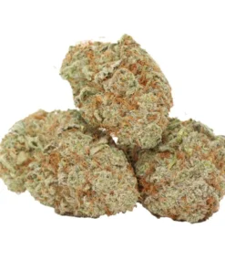 Sour Diesel kaufen – Sativa-dominanter Hybrid (Sour D) mit legendärer Energie