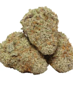 Stankasaurus kaufen – Intensiver Indica-Hybrid mit Diesel-Skunk Aroma & starker Wirkung