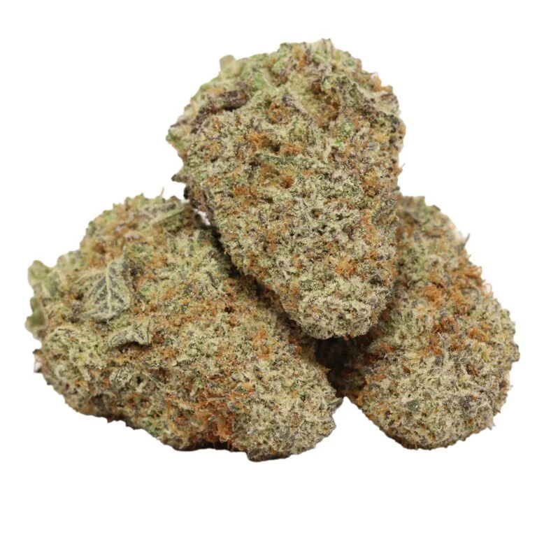 Stankasaurus kaufen – Intensiver Indica-Hybrid mit Diesel-Skunk Aroma & starker Wirkung