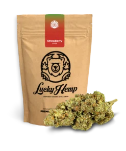 Strawberry Haze Ökopack 5g kaufen | Fruchtiges Aroma im nachhaltigen Format