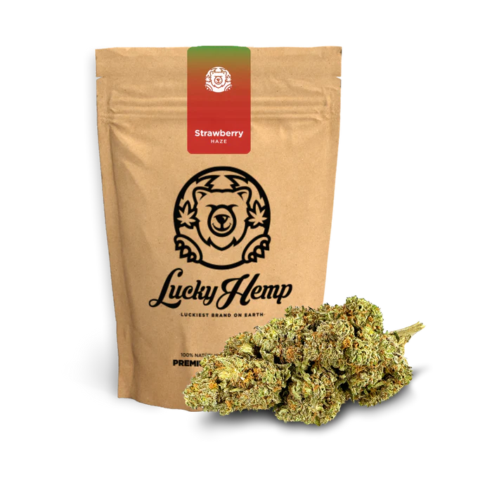 Strawberry Haze Ökopack 5g kaufen | Fruchtiges Aroma im nachhaltigen Format