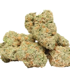 Sunset Sherbet kaufen – Süß-fruchtiger Indica-Hybrid mit entspannender & kreativer Wirkung