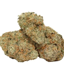 Banana Runtz kaufen – Süßer Hybrid mit Bananen-Candy-Aroma