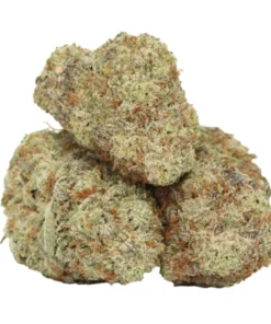 Dank Sinatra kaufen – Indica-Hybrid mit bis zu 33 % THC & Diesel-Zitrus-Profil