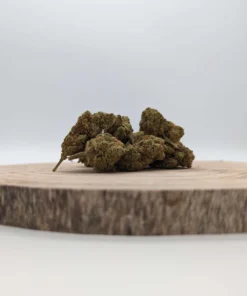Entdecke CBD – Amnesia Haze (14 % CBD) in Deutschland ✓ Legale CBD-Blüten mit intensivem Zitrusaroma, entspannender Wirkung & geprüfter EU-Qualität. Jetzt mehr erfahren.