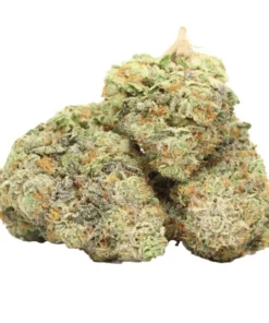 Tropicanna-Banane – Tropische Süße trifft moderne Hybrid-PowerTropicanna-Banane – Tropische Süße trifft moderne Hybrid-Power